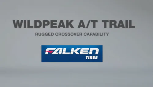 Falken | On the pulse